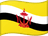 Brunei flag