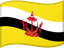 Brunei flag
