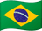 Brazil flag