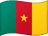 Cameroon flag