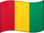 Guinea flag