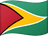 Guyana flag
