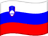 Slovenia flag