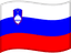 Slovenia flag