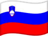 Slovenia flag