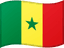 Senegal flag