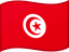 Tunisia flag