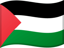 Palestine flag